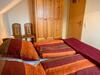 Apartment Peters-1