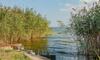 An Der Boddenweide