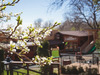 Hotel Little Texas