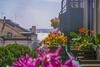 Hostal Casinha Das Flores