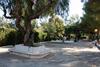 Apartamento El Campello Townhouse