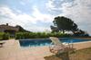 Club Villamar - Fleur