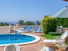Club Villamar - Delfin