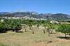 Finca Son Rubi