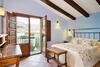 Desconexi�n Entre Olivos Centenarios