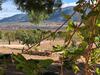 We Love Villas - Villa La Palma