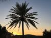 Apartamento Studio Sur In Son Macia Mallorca - Adults Only