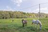 G�te Le Moulin Pocheluberry