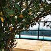 Bed & Breakfast Le Bois Aux Cerfs