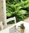 Hostal Vincent
