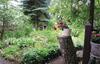 Holiday Home Drezdenko Lubiat�w II
