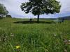 Apartamento Les Chamois