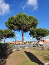 Apartamento Endless Summer 16 - Le Cap D'agde, Golf International