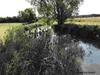 Bed & Breakfast Manoir de Chandoiseau