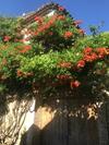 La Destin�e
