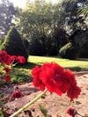 Bed & Breakfast Kastellren - Le Coin Nature � Rennes