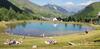 Apartamento Location Vue Montagne