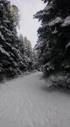 Hotel Auberge De Thelis