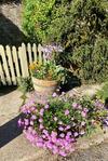 Magical Cottage In A Hidden Cotswolds Valley