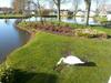 Aspen Retreat, Haggerston Castle