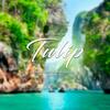 Vila Tulip Boutique Hotel & Thai Spa