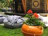 Vila Tulip Boutique Hotel & Thai Spa
