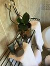 Bed & Breakfast Dodford Grange