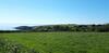 Trelawne Garden Annexe