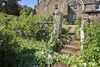 Bed & Breakfast Isla Bank House