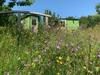 The Tregothnan Shepherds Hut