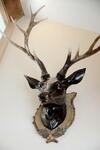Apartamento Pippin Lodge Lytham