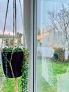 Apartamento Cosy Classy 2-bed Maisonette Village Nr Newquay