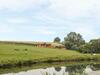 Manor Farm Lodges - Red Kite Lodge