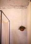 Hotel Shila Athens