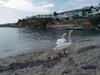 Apartamento Villa Bonatsa Andros Home