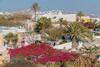 Albergue Caveland