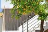 Hotel Chania Design Suites