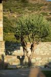 2ag252-house With A Pool In Andros