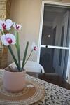 Apartamento Aigli Luxury Studios