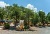 Apartamento Guesthouse Toxotis