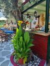 Apartamento Pension Soula
