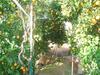 New And Completely Renovated Apartment (5+3)