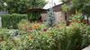 Bed & Breakfast Hotel Kausar