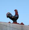 Apartamento Casa Del Gallo