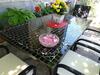 House Gardenia House