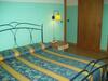 Hotel Nuova Grottella