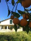 Bed & Breakfast Villa Teresa