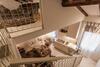 Apartamento Housmart Castiglione 76