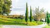 Razzaia Villa Sleeps 14 With Pool And Air Con