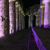 Bed & Breakfast Casale Degli Ulivi Prestige